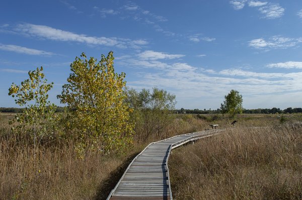 How can UK communities create wildlife corridors to connect isolated habitats?